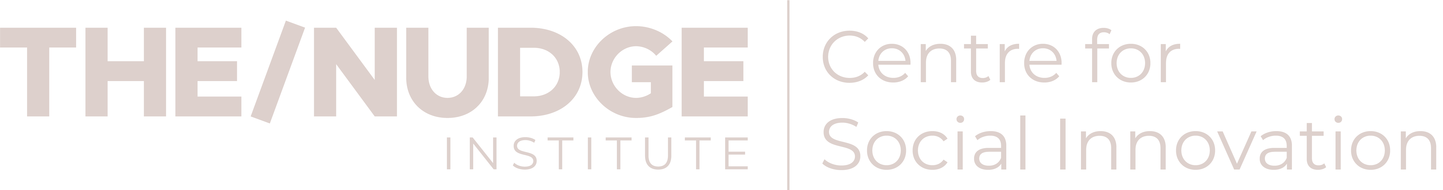 Nudge Institute